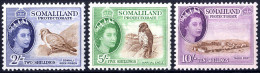 ** 1953, Set 11 Pieces, SG 137-148 Without 145 - Somaliland (Herrschaft ...-1959)