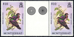 ** 1984, Vögel, 15 Werte In Zwischenstegpaaren, 1 Wert Fehlender Eckzahn (Mi. 538-52 / 120,-++) - Montserrat