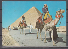 Egypt 1980,postcard With Camels,tourisme,pyramide,used With 2 Stamps(C934) - Cartas & Documentos