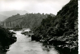 La Nive à Bidarray (64 - Pyrénées Atlantiques) - Yvon 3661 - Bidarray