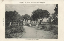 FRANCE - Hyères - Ermitage De Notre Dame De Consolation - La Pinède Du Calvaire - Carte Postale Ancienne - Hyeres