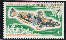 TAAF 1971 Poissons Fishes Yv. 34-38 Neufs MNH - Cartoline Maximum