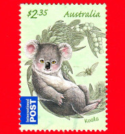 AUSTRALIA - Usato - 2011 - Animali  - Cuccioli - Koala - (Phascolarctos Cinereus) - International - $ 2.35 - Usati