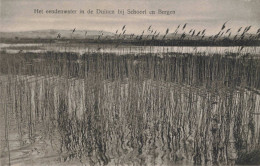 Schoorl Het Eendenwater K6906 - Schoorl