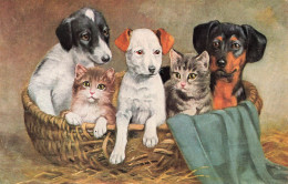 ANIMAUX & FAUNE - Chiens - Chats - Dessins D'animaux - Carte Postale Ancienne - Sonstige & Ohne Zuordnung