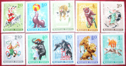 HUNGARY  1965  Circus, Fauna  10 V  MNH - Cirque