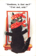 ANIMAUX & FAUNE - Chaton Bondé Et Blessé Regardant Dans Un Miroir - C'est Moi - Celà - Carte Postale Ancienne - Chats