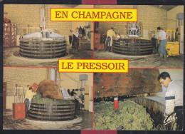 51 - En Champagne Le Pressior - Champagne-Ardenne