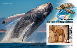 Djibouti 2023, Animals In Danger, Whale, Turtle, Tiger, BF - Ballenas