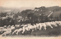 FRANCE - Arques La Bataille - Vue Prise De La Côte De Gruchet - Carte Postale Ancienne - Arques-la-Bataille