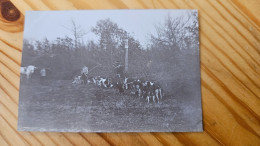 FORET D ORLEANS CHASSE A COURRE - PHOTO 8.5X6 CM - Old (before 1900)