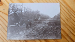 FORET D ORLEANS CHASSE A COURRE - PHOTO 8.5X6 CM - Old (before 1900)