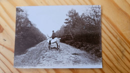 LES AISSES FERTE ST AUBIN 45 MONSIEUR GENLIEN CHASSE CHASSEUR - PHOTO 8.5X6 CM - Antiche (ante 1900)