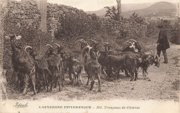 L'auvergne Pittoresque * Un Troupeau De Chèvres * Berger Chevrier - La Bourboule