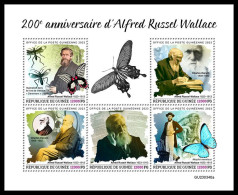 GUINEA REP. 2023 MNH Alfred Russel Wallace M/S – IMPERFORATED – DHQ2403 - Natuur