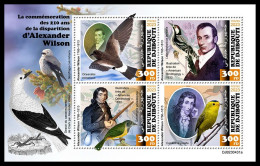 DJIBOUTI 2023 MNH Alexander Wilson Birds Vögel M/S – IMPERFORATED – DHQ2403 - Natuur