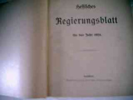 Hessisches Regierungsblatt Für Das Jahr 1924 - Diritto