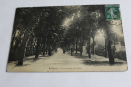 Lillers  -  Promenade Du Brûlé - Lillers