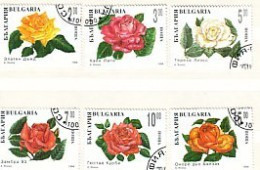 1994 FLOWERS - ROSE 6 V.- Used (O) BULGARIA / Bulgarie - Used Stamps