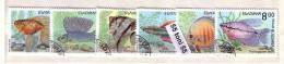 1993 Fauna FISH ( Poissons/ Pesci ) 6 V.- Used/oblitere (O)  BULGARIA / Bulgarie - Oblitérés