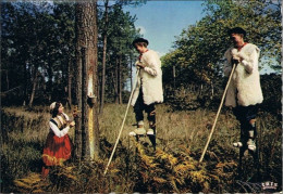 LOT DE 4 CPM..40..AU PAYS LANDAIS..LES ECHASSIERS..RECOLTE DE LA RESINE..LE POT DE RESINE - Aquitaine