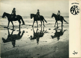 CHEVAUX Sur Le Rivage En Bretagne - Chevaux