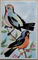 Animaux - Oiseaux Sur Une Branche - Carte Pouet - Velour - Carte Postale Ancienne - Vogels