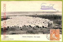 Af2739 - URUGUAY - VINTAGE POSTCARD - Escenas Campestres - 1905 - Uruguay