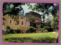 CPM SAINT SAUVEUR EN PUISAYE 89 - La Tour Du Chateau  - Saint Sauveur En Puisaye