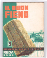 IL BUON FIENO - N° 3 - REDA ROMA 1968 - Te Identificeren