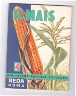 IL MAIS - N° 4 - REDA ROMA 1968 - A Identificar