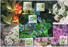 Germany Deutschland 1991 Maximum Card X5, Natur Und Umweltschutz, Flower Berries Flora Rennsteiggarten Oberhof, Bonn (a) - 1981-2000