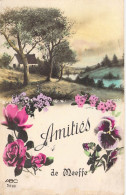 Belgique - Meeffe - Amitiés De Meeffe - Paysage Et Fleurs - Carte Postale Ancienne - Wasseiges