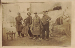 Maréchal Ferrant * Carte Photo * Ferrage D'un Cheval * Forge Forgeron Métier Ancien * Agricole Agriculture Village - Other & Unclassified