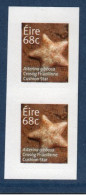 EIRE Ireland Irlande, **, Yv 2098, Mi 2099, SG 2224, étoile De Mer (Asterina Gibbosa), Paire De Carnet, - Ungebraucht