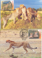 IRAN - FDC MC WWF 2003 - CHEETAH / 4328 - Iran