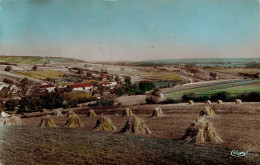 CPSM ST-MARTIN-du-TERTRE : Panorama Sur L'Yonne - Photo Véritable - Saint Martin Du Tertre