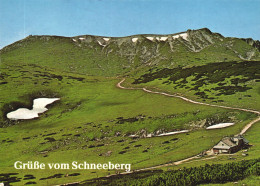 SCHNEEBERG, ARCHITECTURE, GERMANY, POSTCARD - Schneeberg