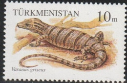 TURKMENISTAN - Serpent : Echus Carinatus - Slangen