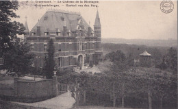 GERAARDSBERGEN GRAMMONT Kasteel Van Den Berg Le Château De La Montagne - Geraardsbergen