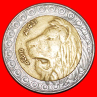 * LION (1992-2023): ALGERIA  20 DINARS 1431-2010! · LOW START ·  NO RESERVE! - Algeria