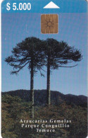 CHILE - Araucarias Gemelas/Parque Conguillio Temuco, Tirage %20000, 12/99, Used - Chili