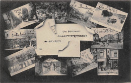 Sèvres .     92        Un Souvenir De Sèvres.. Minivues      (voir Scan) - Sevres