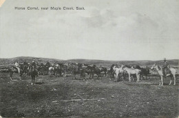 Canada Saskatchewan Horse Coral Near Maple Creek - Sonstige & Ohne Zuordnung