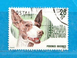 (Us6) )  SPAGNA °- 1983 - CANI - CHIENS. Yvert 2330. - Used Stamps