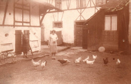 Agriculture - Carte Photo - Intérieur D'une Ferme - Agricole Paysan - Fattorie