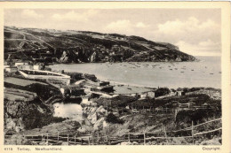 Torbay, Newfoundland, Ayre And Sons Limited, Unused . (D203) - Andere & Zonder Classificatie
