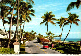 19-1-2024 (1 X 33) USA (posted To France 1972) Florida - Palm Beach - Palm Beach