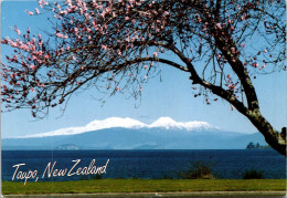 19-1-2024 (1 X 35) New Zealand - Taupo - Nouvelle-Zélande