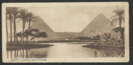 EGYPT Landscape Near The Pyramids - Stylianos Coutsiods - Old Postcard 14,5 X 7 Cm(see Sales Conditions)9740 - Guiza